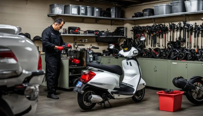 Elettrico monopattino hulajnodze elektrycznej konsekwencje prawne jakie rouler mobilità Cara merawat motor matic agar awet dan hemat bahan bakar